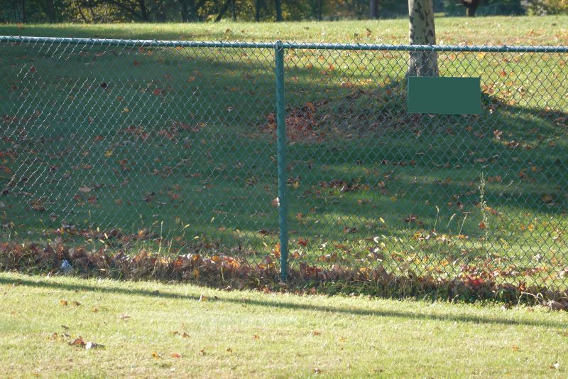 Spring Iron Fence Repair